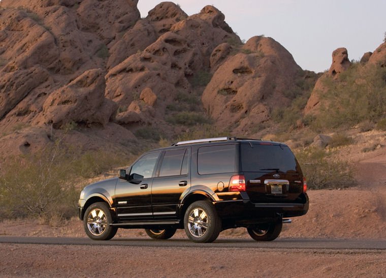 2011 Ford Expedition Picture