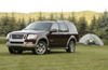 2010 Ford Explorer Eddie Bauer Picture