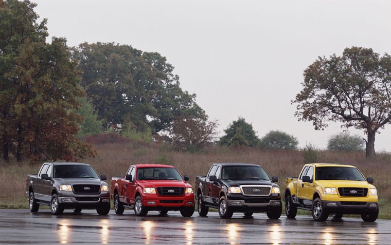 2004 Ford F150 Picture