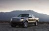 2009 Ford F150 Super Crew Platinum Picture