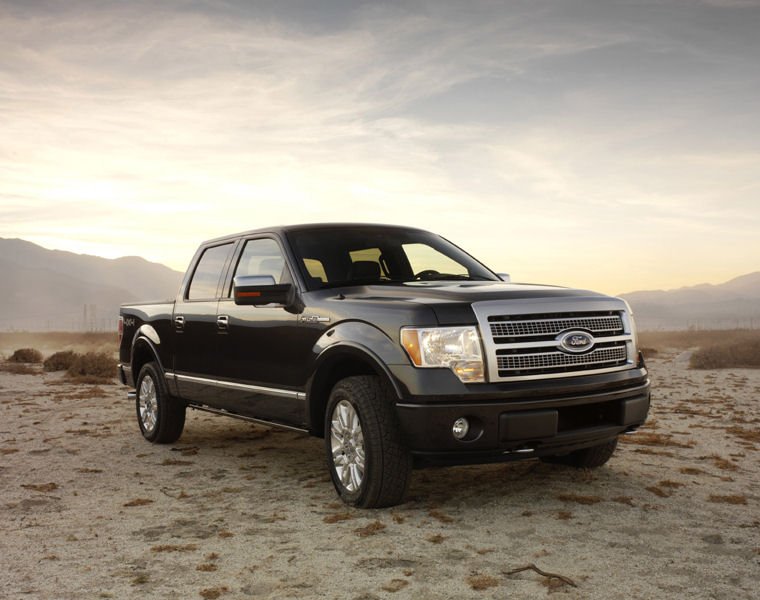 2009 Ford F150 Super Crew Platinum Picture