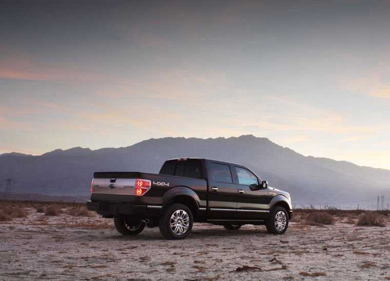 2010 Ford F150 Super Crew Platinum Picture