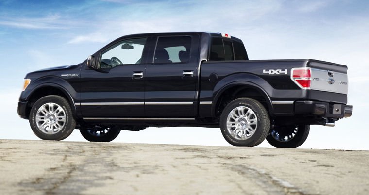 2010 Ford F150 Super Crew Platinum Picture