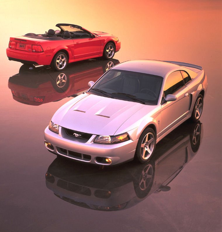 2003 Ford Mustang SVT Cobra Picture