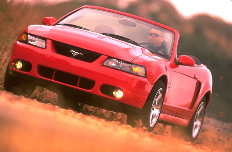 2003 Ford Mustang SVT Cobra Picture