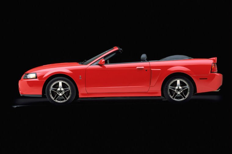 2003 Ford Mustang SVT Cobra  Picture