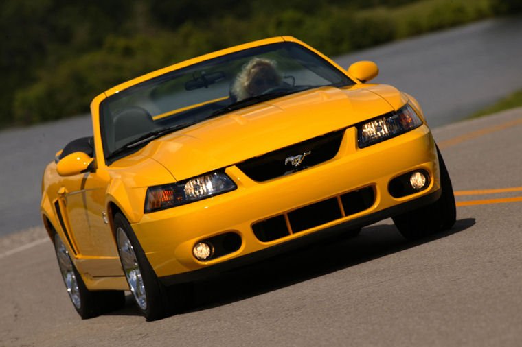 2003 Ford Mustang SVT Cobra Picture