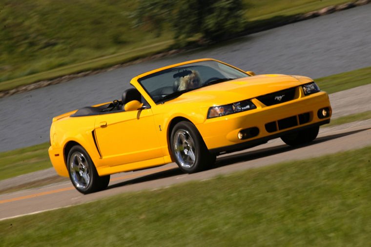 2004 Ford Mustang SVT Cobra Picture