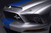 2008 Shelby GT500 KR Headlight Picture