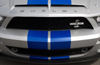 2008 Shelby GT500 KR Grille Picture