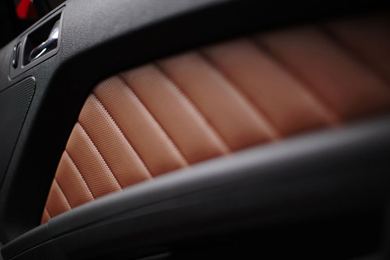 2010 Ford Mustang GT Door Panel Picture