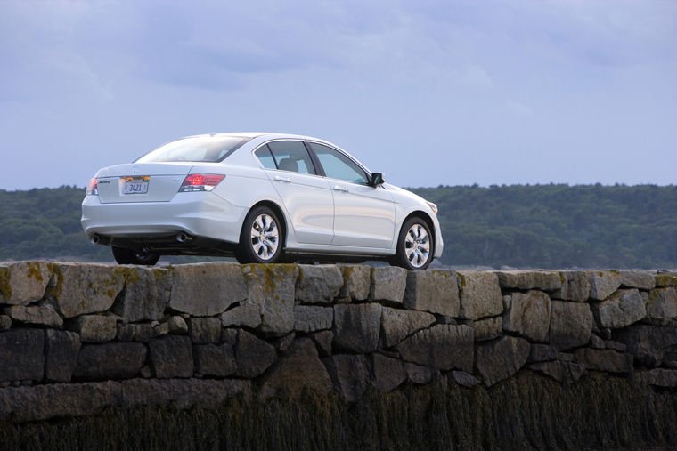 2010 Honda Accord EX-L V6 Picture