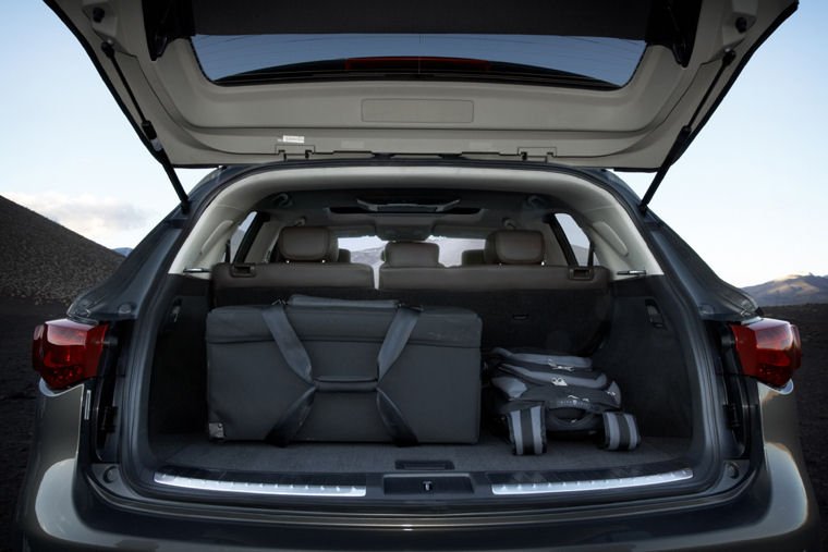 2010 Infiniti FX50 Trunk Picture