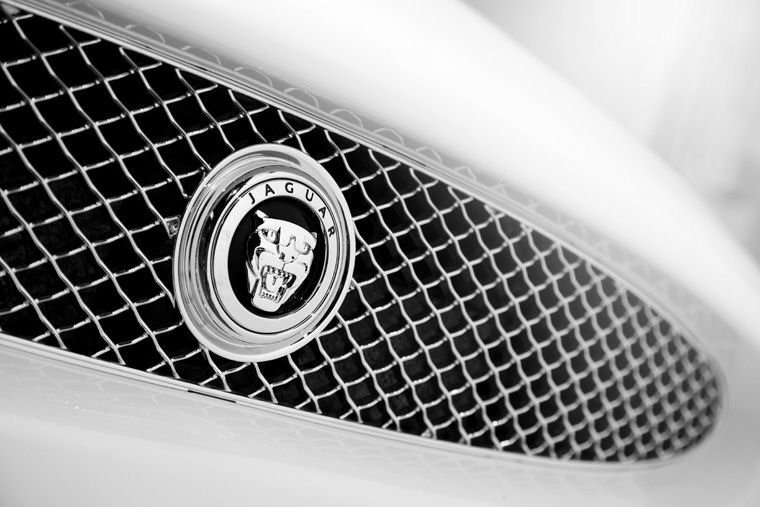 2011 Jaguar XKR Grille Picture