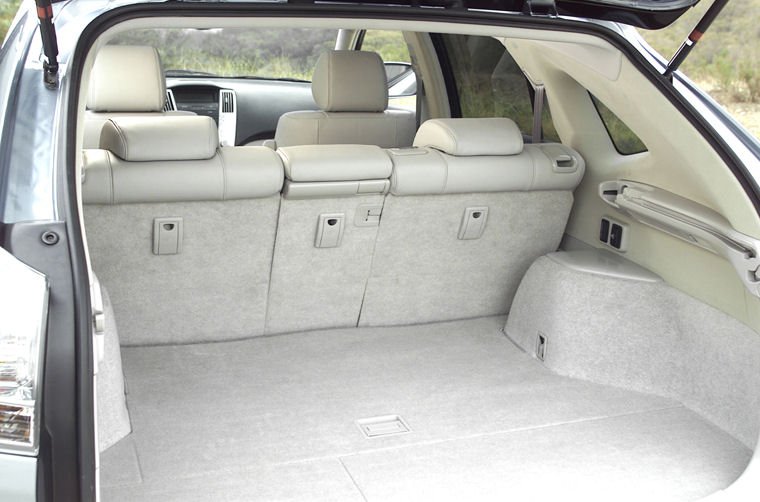 2009 Lexus RX 350 Trunk Picture