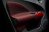 2011 Nissan Juke Door Panel Picture