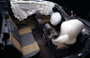2004 Nissan Titan Crew Cab Safety Equipment Picture
