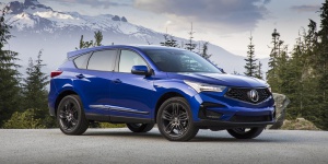 2019 Acura RDX Reviews / Specs / Pictures / Prices