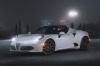 2015 Alfa Romeo 4C Spider Picture