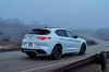 2018 Alfa Romeo Stelvio Quadrifoglio AWD Picture