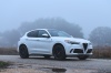 2018 Alfa Romeo Stelvio Quadrifoglio AWD Picture