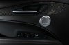 2020 Alfa Romeo Stelvio Quadrifoglio AWD Door Panel Picture