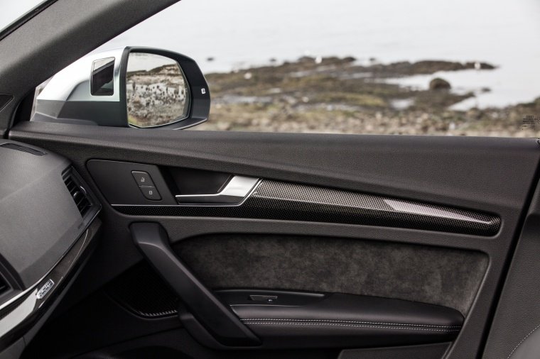 2020 Audi SQ5 quattro Door Panel Picture