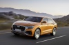 2019 Audi Q8 Premium 55 TFSI quattro Picture