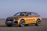 Picture of 2019 Audi Q8 Premium 55 TFSI quattro in Dragon Orange Metallic