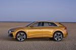 Picture of 2019 Audi Q8 Premium 55 TFSI quattro in Dragon Orange Metallic
