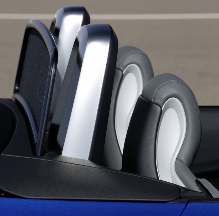 2016 Audi TT Roadster Roll Hoops Picture