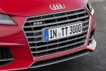 Picture of 2016 Audi TTS Coupe Grille