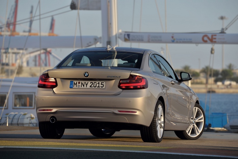 2014 BMW 2-Series Picture