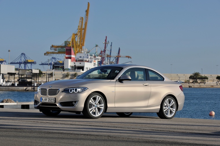 2014 BMW 2-Series Picture