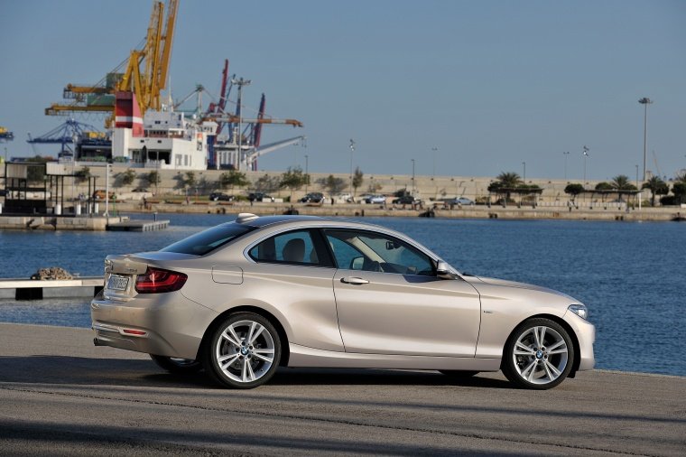 2015 BMW 2-Series Coupe Picture