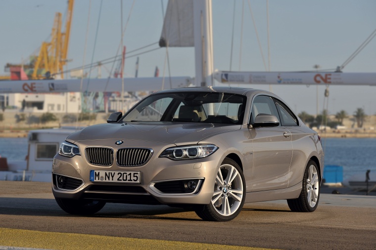 2015 BMW 2-Series Coupe Picture