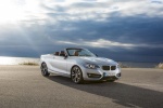 Picture of 2015 BMW 228i Convertible in Glacier Silver Metallic