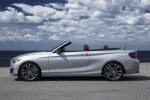 Picture of 2015 BMW 228i Convertible in Glacier Silver Metallic