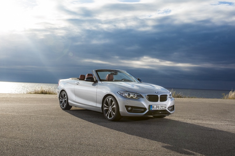 2017 BMW 2-Series Convertible Picture