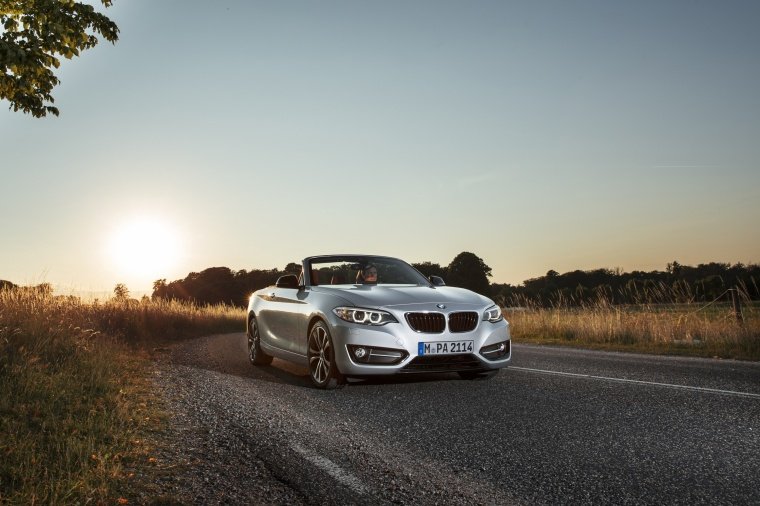 2017 BMW 2-Series Convertible Picture