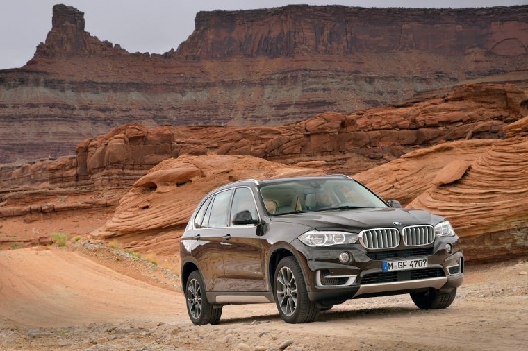 2014 BMW X5 xDrive50i Picture