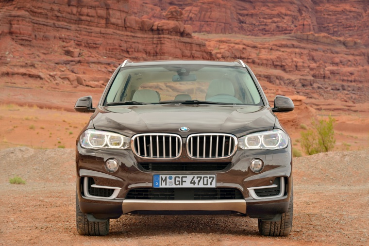 2014 BMW X5 xDrive50i Picture