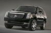 2010 Cadillac Escalade Picture