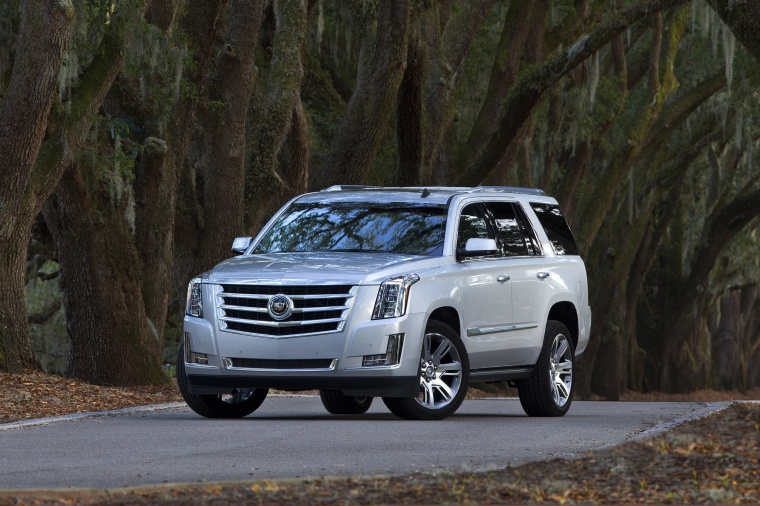 2015 Cadillac Escalade Picture