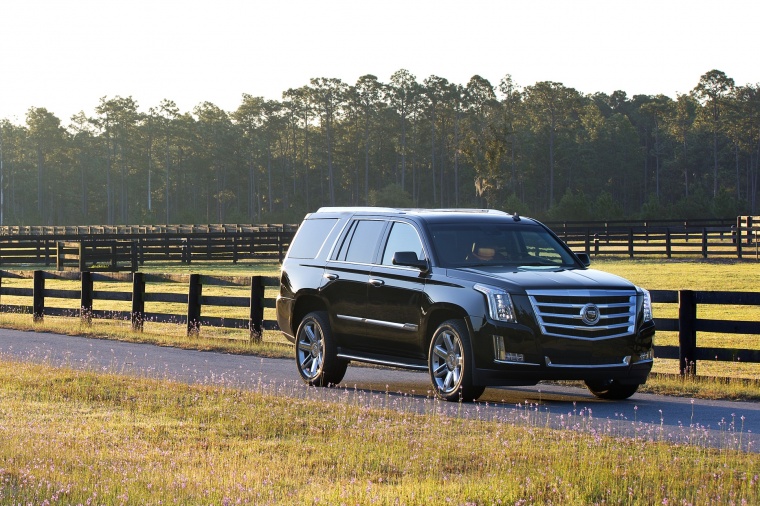 2015 Cadillac Escalade Picture