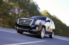 2015 Cadillac Escalade Picture