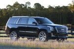 Picture of 2015 Cadillac Escalade in Black Raven