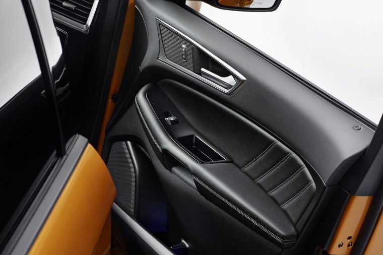 2017 Ford Edge Sport Door Panel Picture