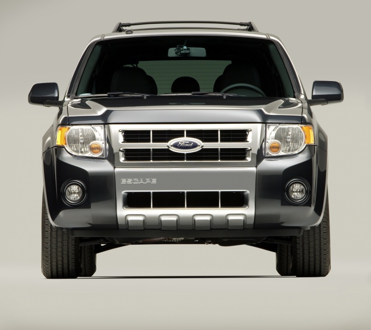 2010 Ford Escape Limited Picture