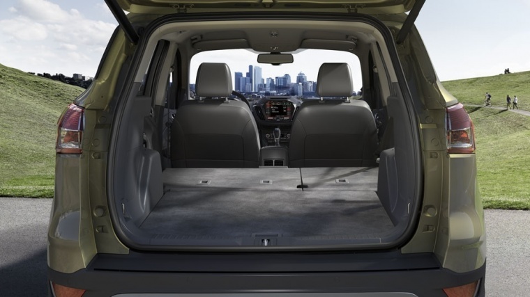 2015 Ford Escape Trunk Picture